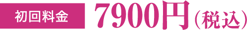 初回料金 7900円（税込）
